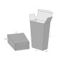 C20.20.60.20 Trapered Carton, Crash Lock Base, Tuck to Front Top