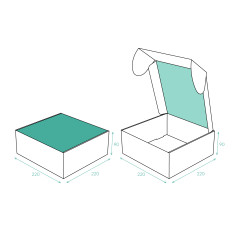 S1-S1