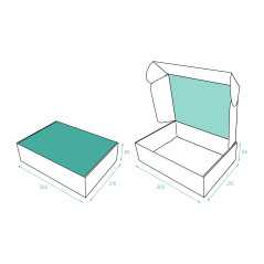 S1-S1