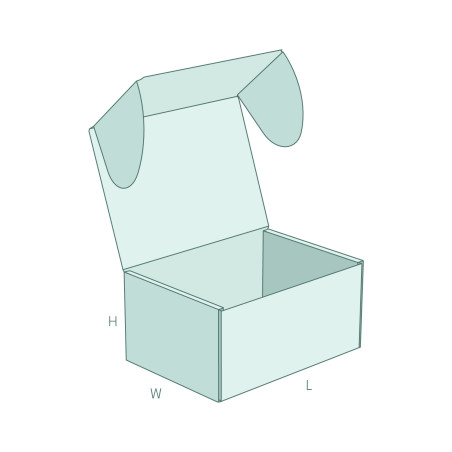 FEFCO 0471 modelio dėžė – Užsisakyk gamybą | MAZUS