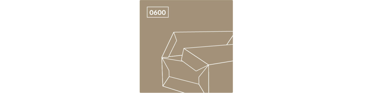 Tvirtos susegamos dėžės – FEFCO 06 grupė